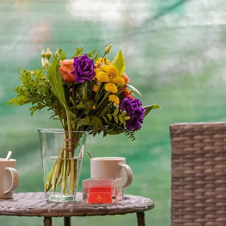 Rob's Flat - Moderne 3-zimmer-ferienwohnung Mit Terrasse, 6 Schlafplaetzen, 2 Min S-bahn, Bei Stuttgart アパート ヴァイル・デア・シュタット